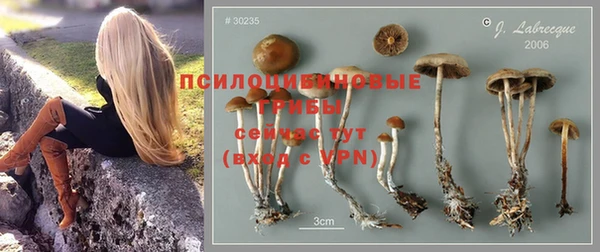 мескалин Гусь-Хрустальный