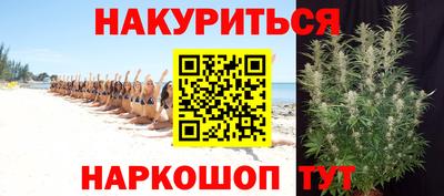 spice Гатчина