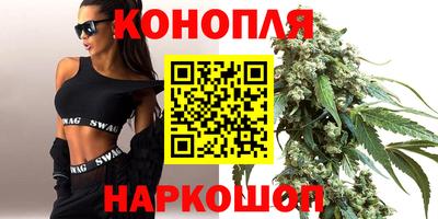 spice Гатчина