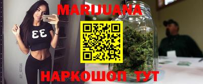 прущие крисы Гай