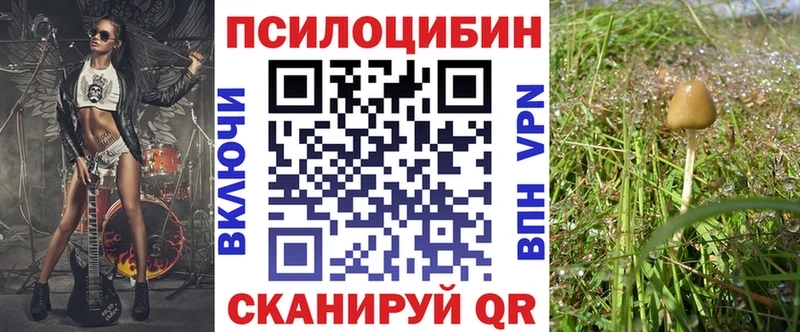 Псилоцибиновые грибы Psilocybine cubensis Гурьевск
