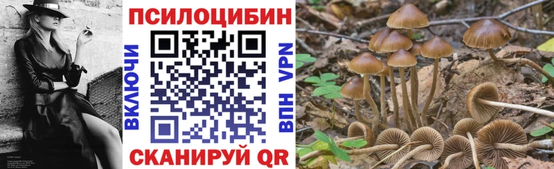 дарнет шоп  Гурьевск  Галлюциногенные грибы GOLDEN TEACHER 