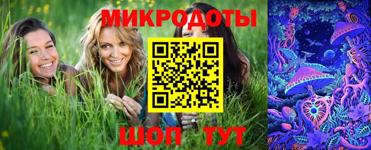 Псилоцибиновые грибы мухоморы  Гурьевск  Псилоцибиновые грибы мицелий 