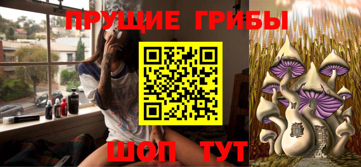 Гурьевск  Псилоцибиновые грибы GOLDEN TEACHER  Вход с VPN 