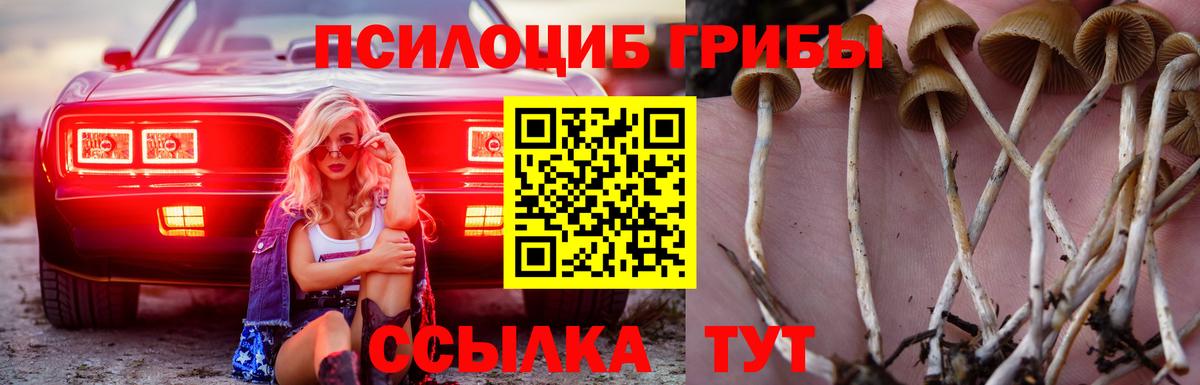 Галлюциногенные грибы Cubensis Гурьевск