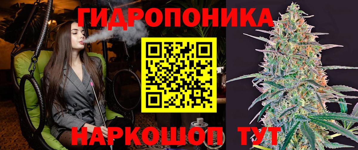 Шишки марихуана план  МАРИХУАНА LSD WEED  Гурьевск  Шишки марихуана THC 21% 